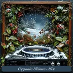 Organic House Mix