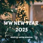 Anton Rogozin - WW New Year #2