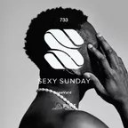 Sexy Sunday Radio Show 733 (PURE IBIZA RADIO)