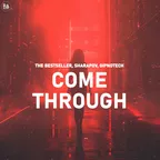 The Bestseller & Sharapov & GIPNOTECH - Come Through
