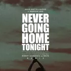 David Guetta & Alesso ft. Madison Love - Never Going Home Tonight (Robert Georgescu and White Remix)