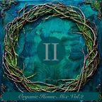 Organic House Mix Vol.2