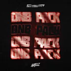 PS PROJECT & ARTEEZ DNB PACK