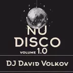 NuDisco 1.0