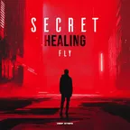 Secret Healing