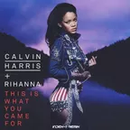 Calvin Harris - This Is What You Came For (feat. Rihanna) (Index-1 Remix)