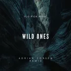 Flo Rida & Sia - Wild ones (Adrian forsén Afrotech Remix)