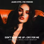 James Hype x The Weeknd - Don't Wake Me Up x Cry For Me (Arthy & Dj Raul Vlad Mashup)