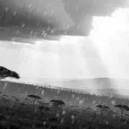 Heavy Rain (Afro Edit)