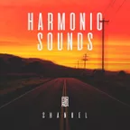 Shankel - Harmonic Sounds 101