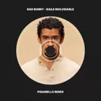 Bad Bunny - Baile Inolvidable (Pisaniello Afro House Remix)