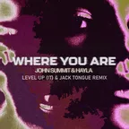 JOHN SUMMIT, HAYLA - WHERE YOU ARE (LEVEL UP (IT) & JACK TONGUE REMIX)