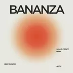 Akon - Bananza (Belly Dancer) (Samuel Prince Remix)