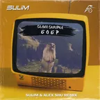 SLAVA SKRIPKA - Бобр (SULIM & ALEX SHU Remix)