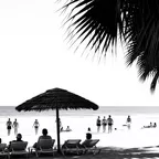 JULY'25 (Melodic house/Afro/Deep)