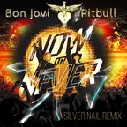 Bon Jovi, Pitbull - Now Or Never (It's My Life) (Silver Nail Remix)