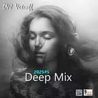 Deep Mix'2025#5