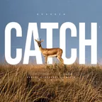 Kosheen - Catch (Robert Georgescu and White Remix)