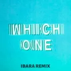 Drake - Which One (IBARA REMIX)