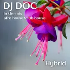 Hybrid