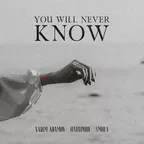 Vadim Adamov, Hardphol, SMOLA - You Will Never Know