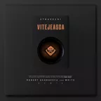Stravechi - Vitejeasca (Robert Georgescu and White Remix)