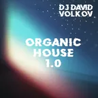 Organic House 1.0