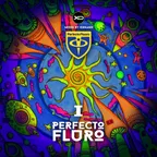 [CD239] Perfecto Fluro I - 2025.04.12