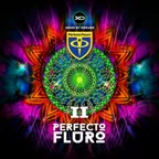 [CD240] Perfecto Fluro II - 2025.04.12