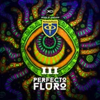 [CD244] Perfecto Fluro III 2025.04.26
