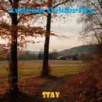 Andrew Celebrity - Stay