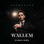Wallem - Аномальна (DJ Smell Remix)