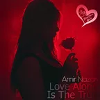 Love Alone Is The True