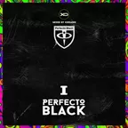 [CD248] Perfecto Black I 2025.06.14