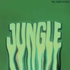 Drake - Jungle (Shahin, Miks, NV & Smeraldo Remix)