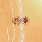 Tatooine - Morning 009