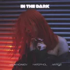 Vadim Adamov, Hardphol, MVRGØ - In The Dark
