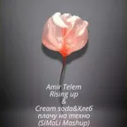 Amir Telem-Rising up&Cream Soda & Хлеб - Плачу на техно(SiMaLi Mashup)