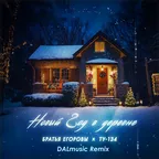 Братья Егоровы, ТУ-134 - Новый год в деревне (DALmusic Remix)