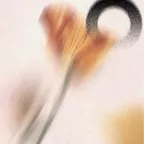 Tatooine - Evening 017