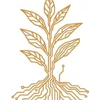 Tatooine - Evening 020