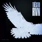Tiesto - Rvn (Raven)