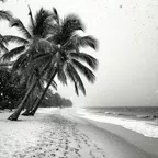 NY'26 (B&W compilation)