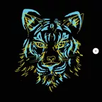 Oliver Koletzki - About the Fox and a Tiger