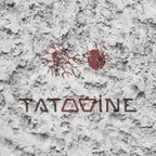 Tatooine - Morning 026