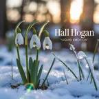 Hall Hogan - Liquid Emotion 002