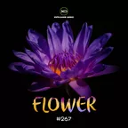 [CD267] Flower 2026.02.06