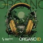 SPAWN - OrganoID #11