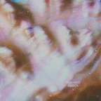 Parra for Cuva - Towards Amber