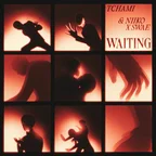 Tchami, NIIKO X SWAE - Waiting